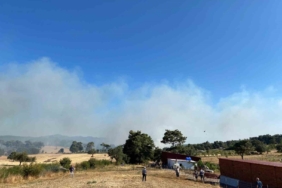 Çanakkale’de orman yangını: Havadan ve karadan müdahale ediliyor