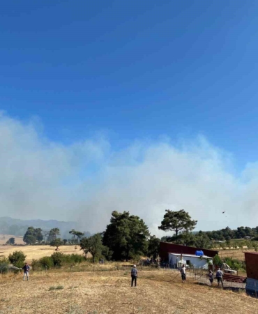 Çanakkale’de orman yangını: Havadan ve karadan müdahale ediliyor
