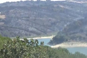 Çanakkale’de orman yangınını kontrol altına alma çalışmaları sürüyor