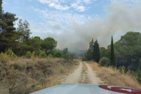 Çanakkale’deki orman yangını kontrol altına alındı