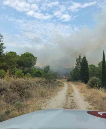 Çanakkale’deki orman yangını kontrol altına alındı