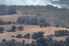 Çan’daki orman yangını kontrol altına alındı