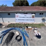 Çatalca’da ormanlık alanda kenevir yetiştiriciliği operasyonu: 6 gözaltı