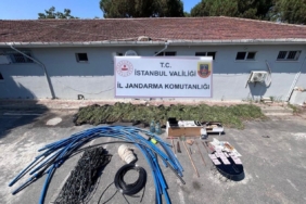 Çatalca’da ormanlık alanda kenevir yetiştiriciliği operasyonu: 6 gözaltı