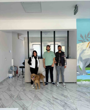 Çayırova’da 70 sokak hayvanı yeni yuvalarına kavuştu