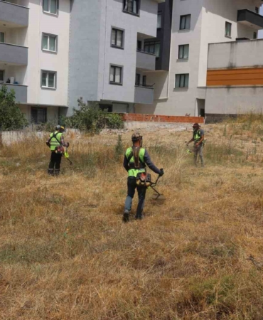 Çayırova’da yabani otlar temizleniyor