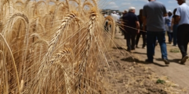 ’Çeşidin doğru verimin bol olsun’ projesi gerçekleşti