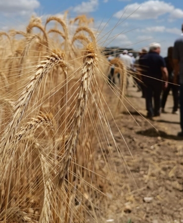 ’Çeşidin doğru verimin bol olsun’ projesi gerçekleşti