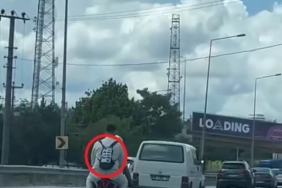 Ceza yememek için düşen plakasını sırt çantasına yapıştırdı
