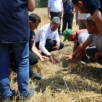 Çiftçilerle biçerdöver hasadına katıldı