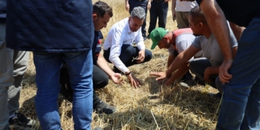 Çiftçilerle biçerdöver hasadına katıldı