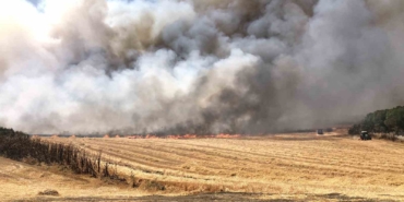 Çorlu’da bin 300 dönüm anız alev alev yandı