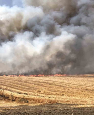 Çorlu’da bin 300 dönüm anız alev alev yandı