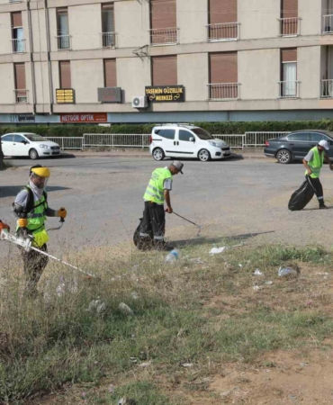 Darıca yaz temizliği