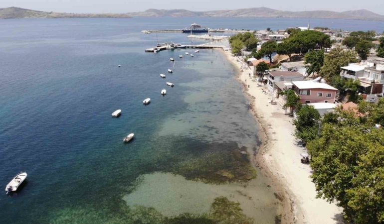 Devlet korumasındaki deniz çayırlarını söken operatöre dudak uçuklatan ceza