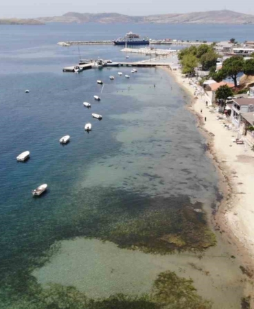 Devlet korumasındaki deniz çayırlarını söktüler