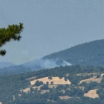 Dursunbey’de arazide çıkan yangın ormana sıçradı