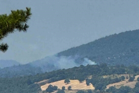 Dursunbey’de arazide çıkan yangın ormana sıçradı