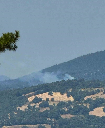 Dursunbey’de arazide çıkan yangın ormana sıçradı