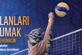 Eczacıbaşı Dynavit’ten Dünya Kaplan Günü’ne özel anlamlı proje