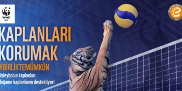 Eczacıbaşı Dynavit’ten Dünya Kaplan Günü’ne özel anlamlı proje