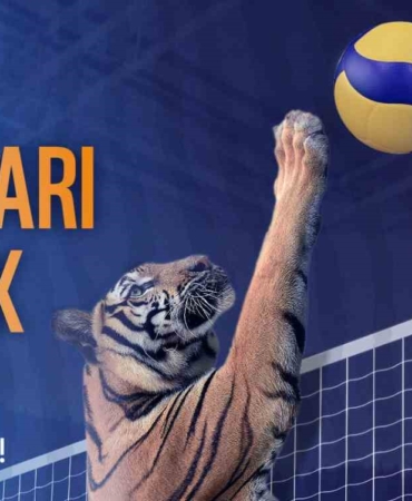 Eczacıbaşı Dynavit’ten Dünya Kaplan Günü’ne özel anlamlı proje