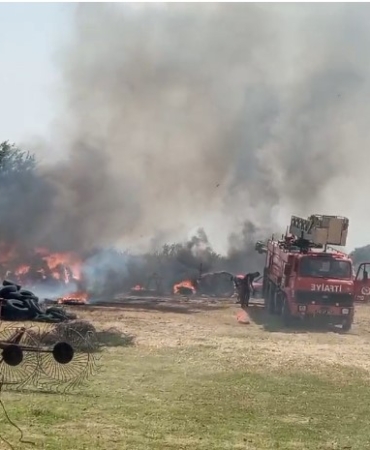 Edirne’de 500 dönüm arazi yangınla kül oldu