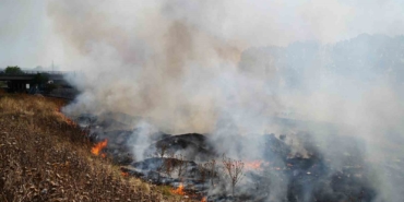 Edirne’de anız yangını mahalleliye büyük korku yaşattı