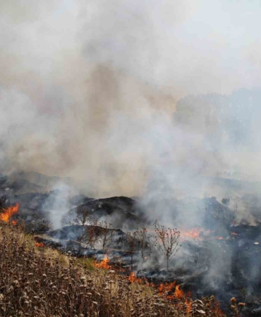 Edirne’de anız yangını mahalleliye büyük korku yaşattı