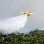 Edirne’de çıkan orman yangını kontrol altına alındı