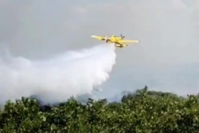 Edirne’de çıkan orman yangını kontrol altına alındı