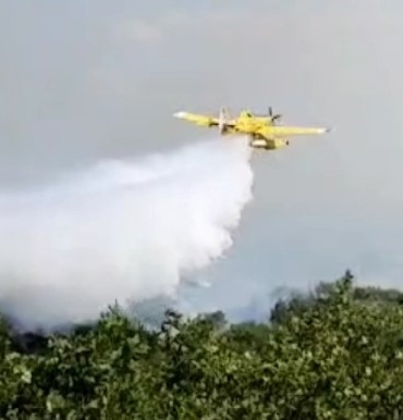 Edirne’de çıkan orman yangını kontrol altına alındı