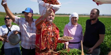 Edirne’de kavurucu sıcaklar Karaağaç biberinde hasadı geciktirdi