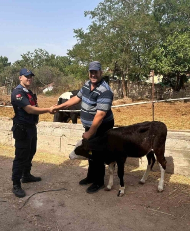 Edirne’de kaybolan buzağı dron ile bulundu