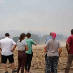 Edirne’deki orman yangınına havadan ve karadan müdahale sürüyor