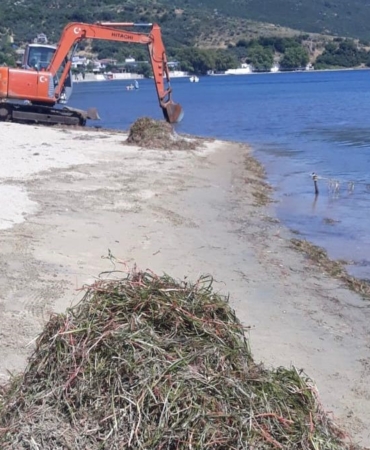 Erdek’te deniz çayırı katliamı