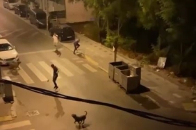 Esenyurt’ta bir şahıs 3 köpeğini bir adamın üzerine saldırttı