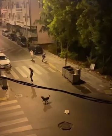 Esenyurt’ta bir şahıs 3 köpeğini bir adamın üzerine saldırttı