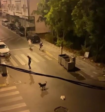 Esenyurt’ta bir şahıs 3 köpeğini bir adamın üzerine saldırttı