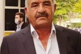 Eşini hastaneye götürmüştü, dönüş yolunda hayatını kaybetti