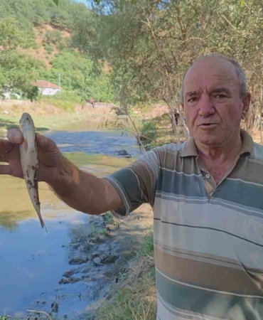 Eyüpsultan’da Alibey Barajı’na akan derede çok sayıda balık telef oldu: Vatandaşlar İSKİ’ye tepki gösterdi