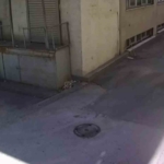 ‘Fal bakıyorum’ diye vatandaşları dolandıran kadın kamerada