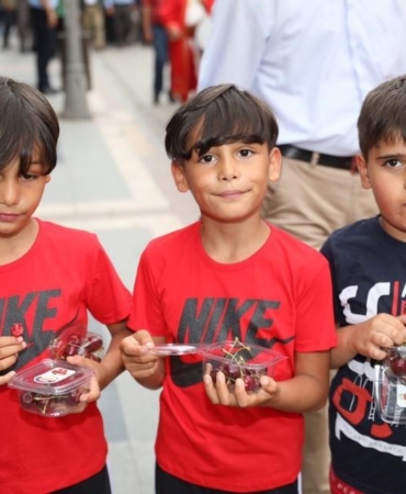 Festival coşkusu: 1 ton kiraz dağıtılacak