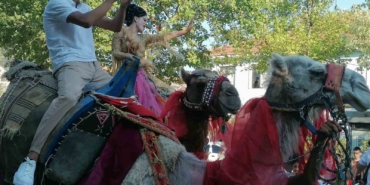 Gelin ve damat deve üzerinde Manyas turu yaptı