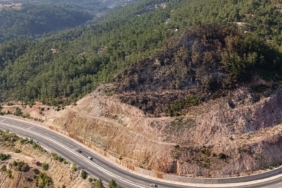 Havran’daki orman yangını kontrol altına alındı