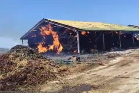 Hayvan çiftliğindeki saman yangını korkuttu