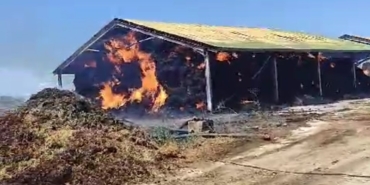 Hayvan çiftliğindeki saman yangını korkuttu