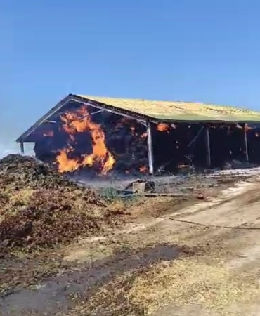 Hayvan çiftliğindeki saman yangını korkuttu