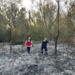 Hendek’te ormanlık alanda yangın