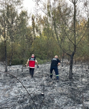 Hendek’te ormanlık alanda yangın